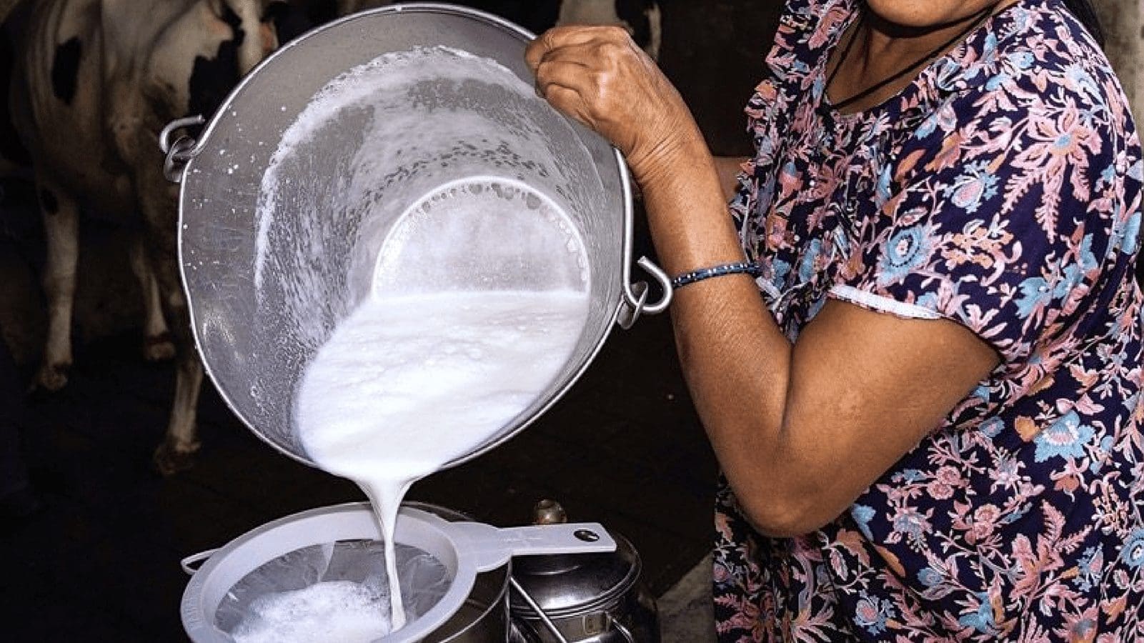 Thumbnail for Moscow appoints Yakub Zakriev as new head of Danone’s Russian subsidiary