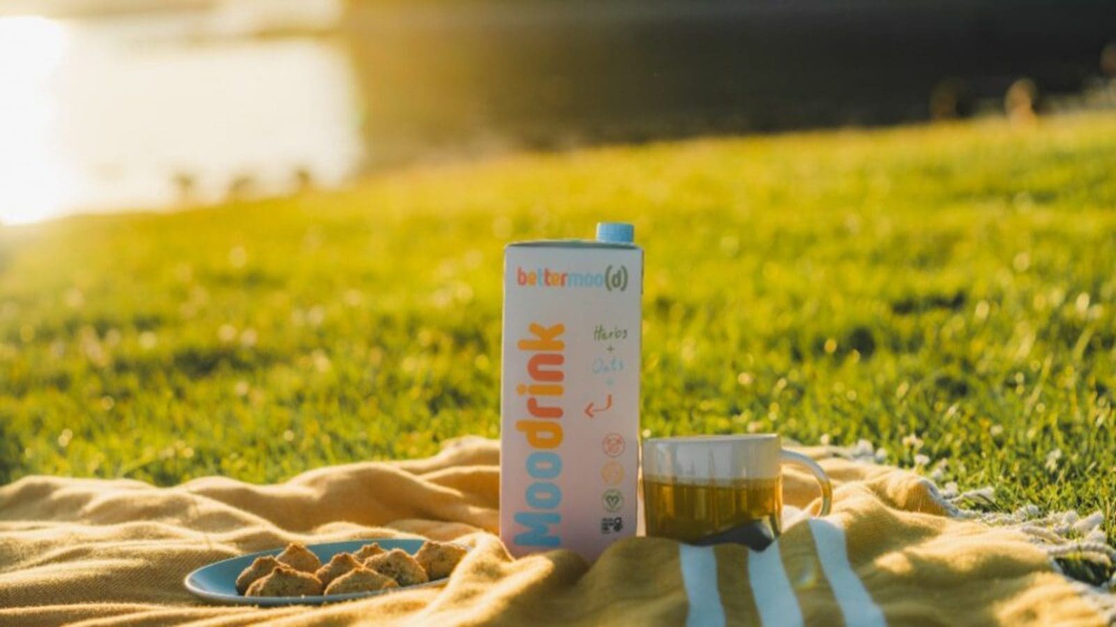 Thumbnail for Danone’s Fan Milk establishes dairy farm in Nigeria to facilitate knowledge transfer, boost local milk production