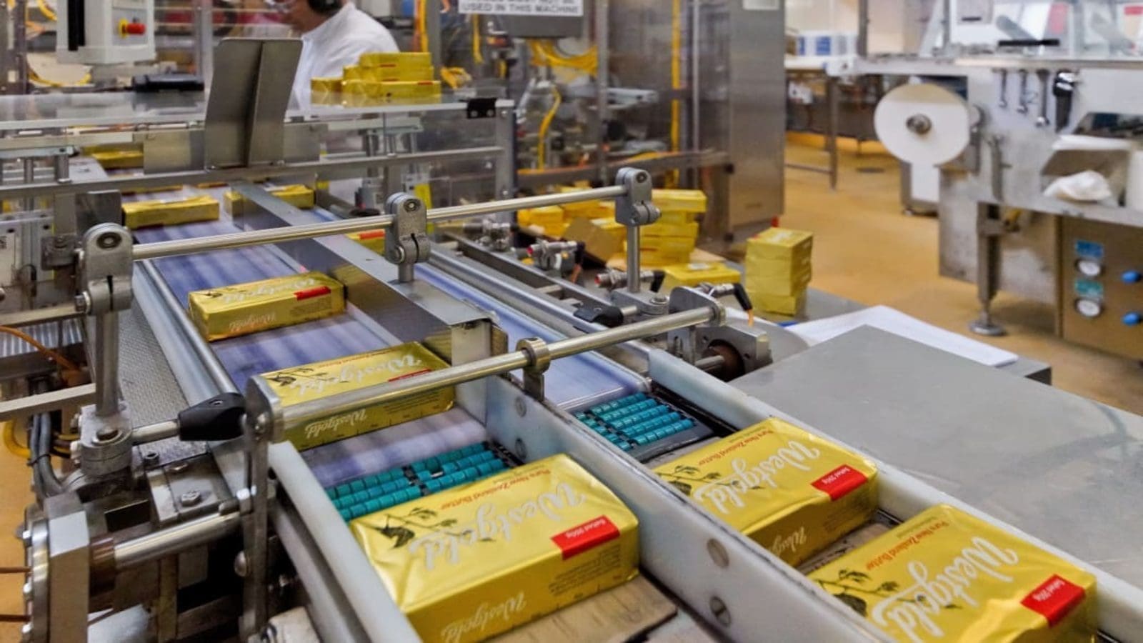 Thumbnail for Yili inaugurates group’s largest overseas butter factory in New Zealand