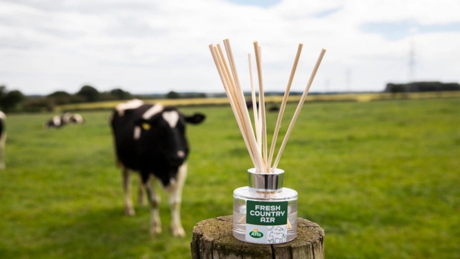 Thumbnail for Unilever invests US$275.6m to expand Mexican presence and strengthen distribution reach