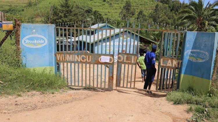 Thumbnail for Glanbia names Hugh McGuire as next CEO, raises earning guidance after profits exceed expectation