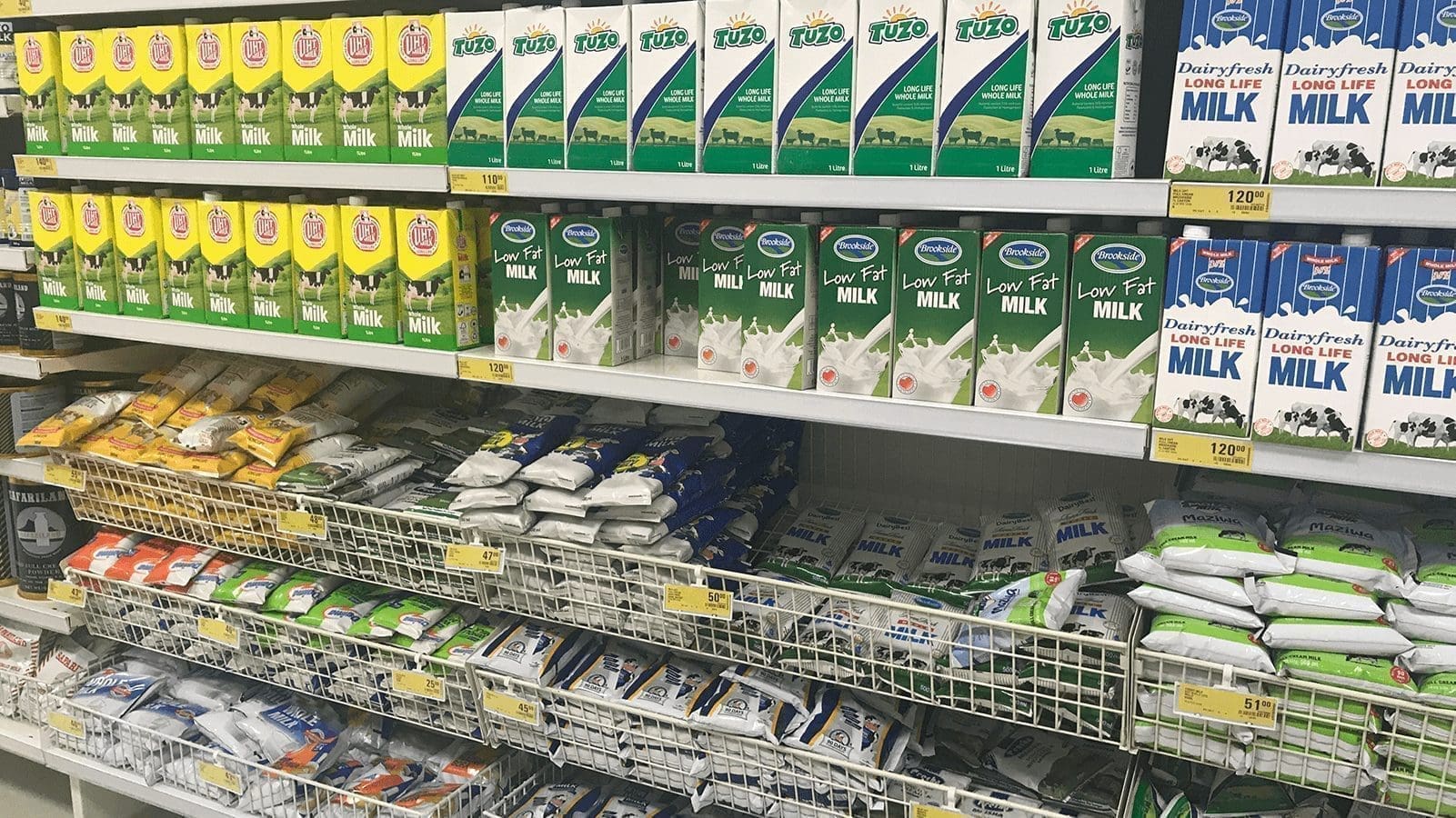 Thumbnail for Dairy farmers receives boost from NARIGP to increase production capacity