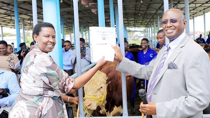 Thumbnail for Githunguri Dairy Society expands to Middle East markets with UHT milk exports