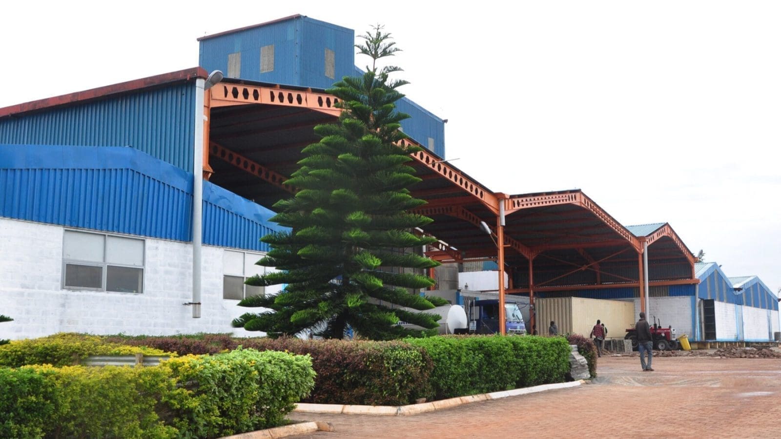 Thumbnail for Kenyan government to establish milk price-stabilizing fund through New KCC