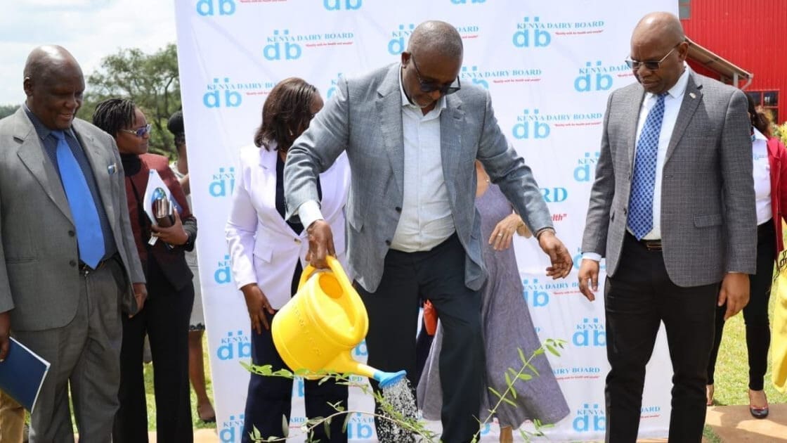 Thumbnail for Kenya Dairy Board launches roadmap to raise milk production to 10B litres between 2023 and 2033