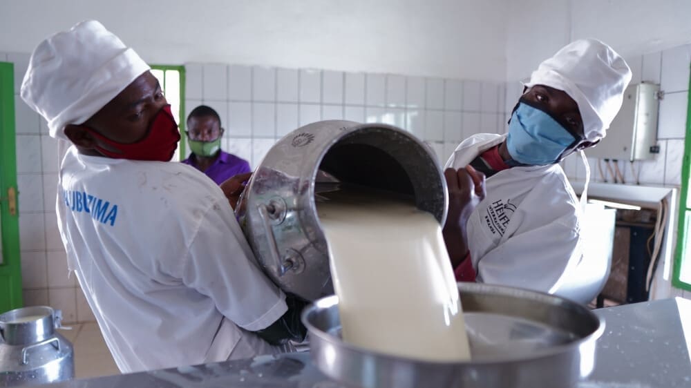 Thumbnail for Machakos County launches free milk program for ECDE learners