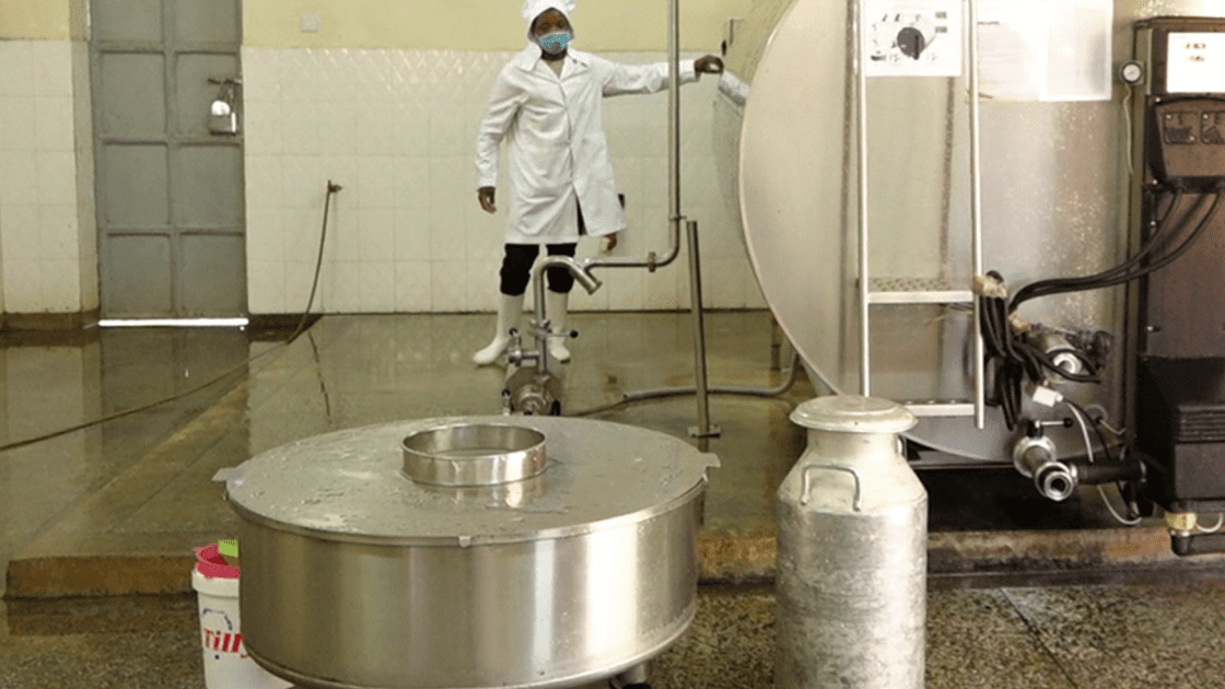 Thumbnail for Danone invests US$109.06M in Mexico to strengthen market presence