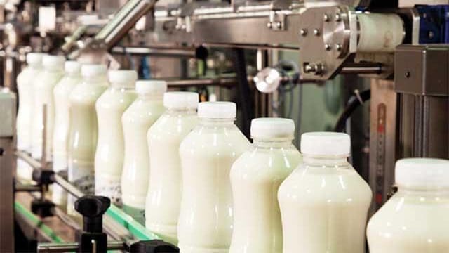 Thumbnail for Dutch Dairy Association stresses on nutritional value as plant-based alternatives gain popularity