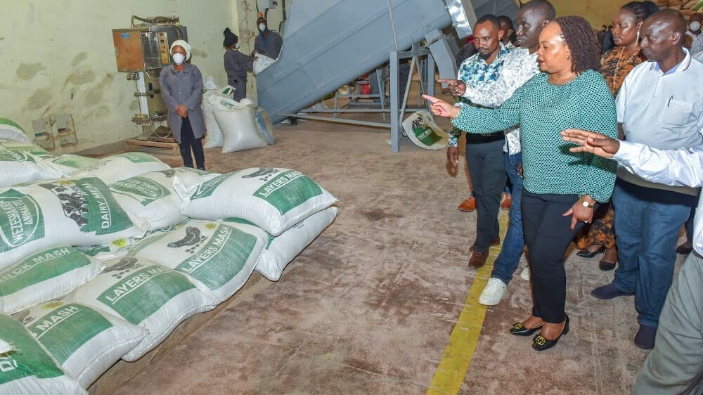 Thumbnail for Tanzania Dairy Board invests in school milk programme with eight ultra-modern milk access points