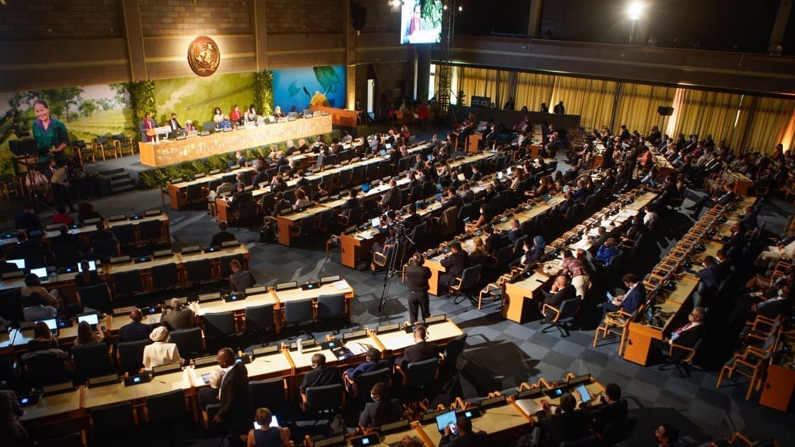 Thumbnail for Delegates at UNEA holds discussions on dairy industry as key to sustainable food systems