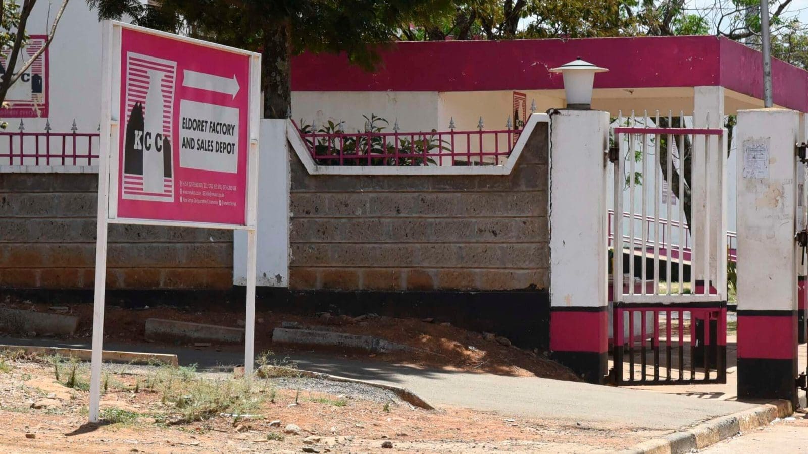 Thumbnail for Kenya’s Kirinyaga County boosts milk production with subsidized feed program