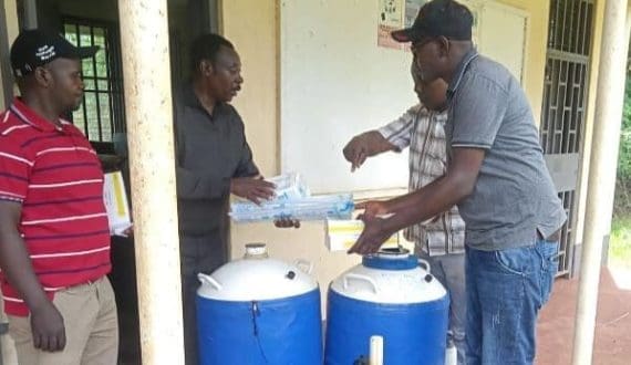 Thumbnail for Government subsidizes AI services to boost dairy production in Kiambu County