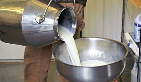 Thumbnail for Zimbabwe reports 51% surge in raw milk production