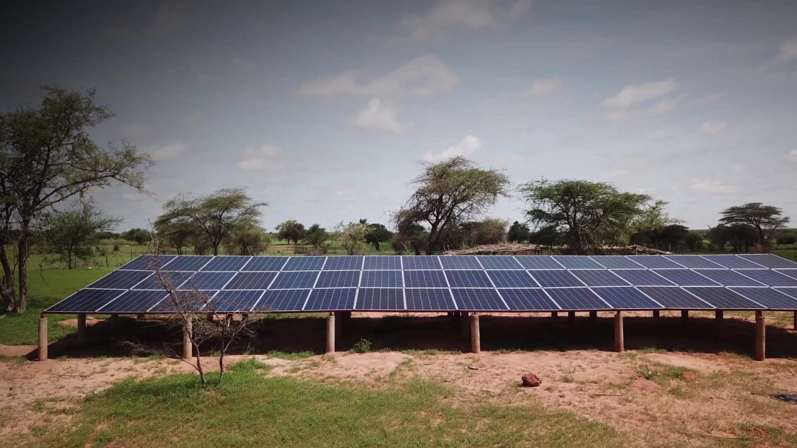 Thumbnail for Kenyan government releases US$4.5M to pay milk farmers