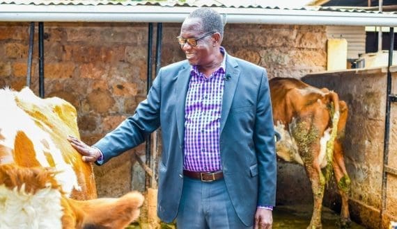 Thumbnail for India charts bold path for dairy sector at key conference