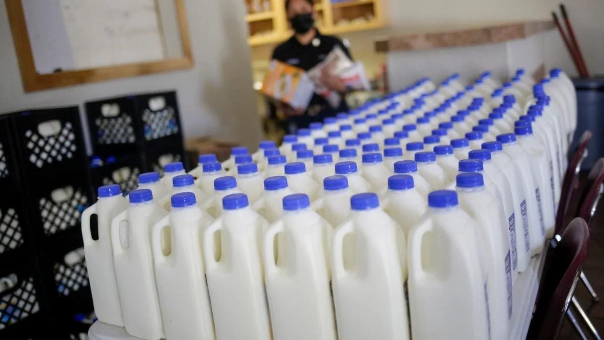 Thumbnail for Kenyan government releases US$4.5M to pay milk farmers