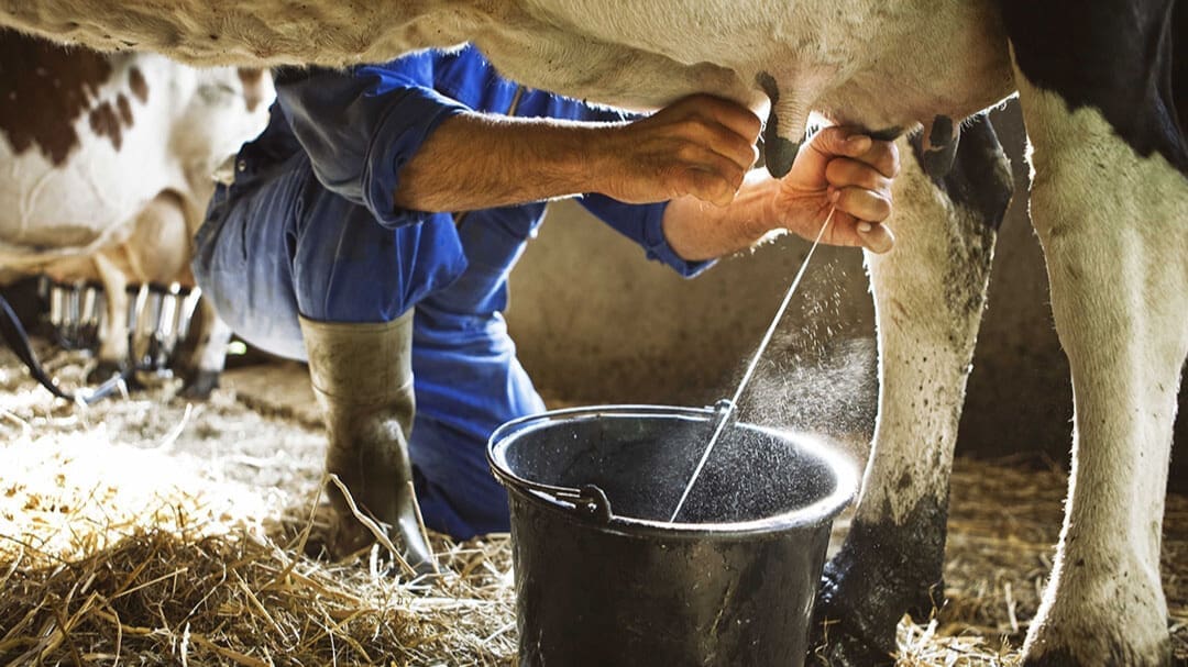 Thumbnail for Unilever to retain Russian ice cream assets