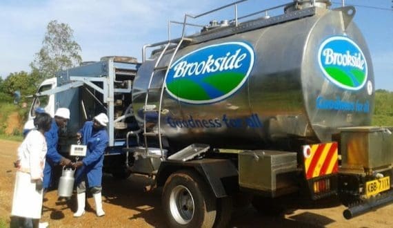 Thumbnail for Australian Dairy Nutritionals names Sundaranathan as its new CEO