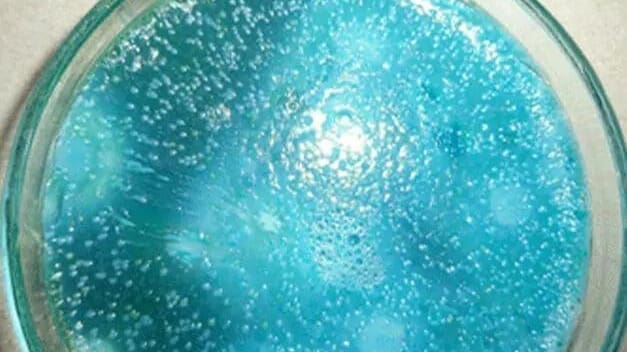 Thumbnail for New model assesses consumer risk of Bacillus cereus in pasteurized milk