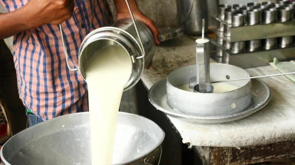 Thumbnail for Outspan Dairy value chain investment impacts Nigerian dairy farmers