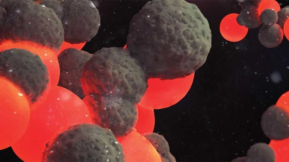 Thumbnail for Lactalis announces US$3.2M investment to modernize Medellín facility