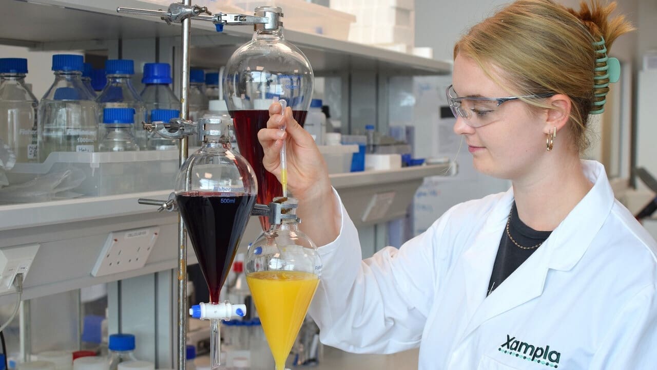 Thumbnail for Mother Dairy targets 13% revenue growth for FY25