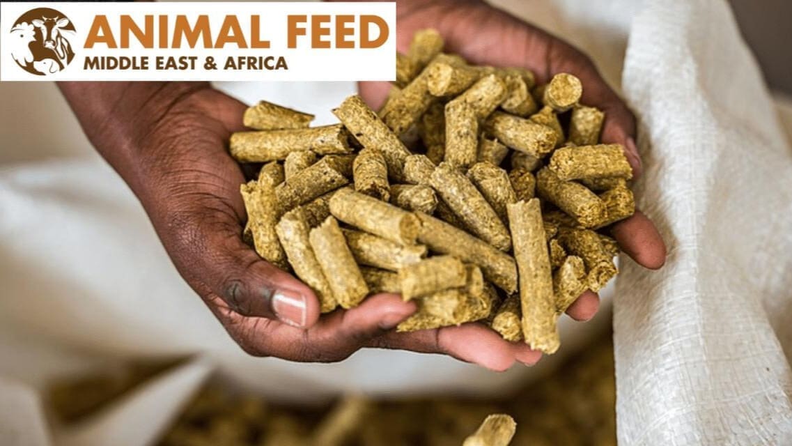 Thumbnail for Ugandan authorities warn against aggressive promotion of breast milk substitutes