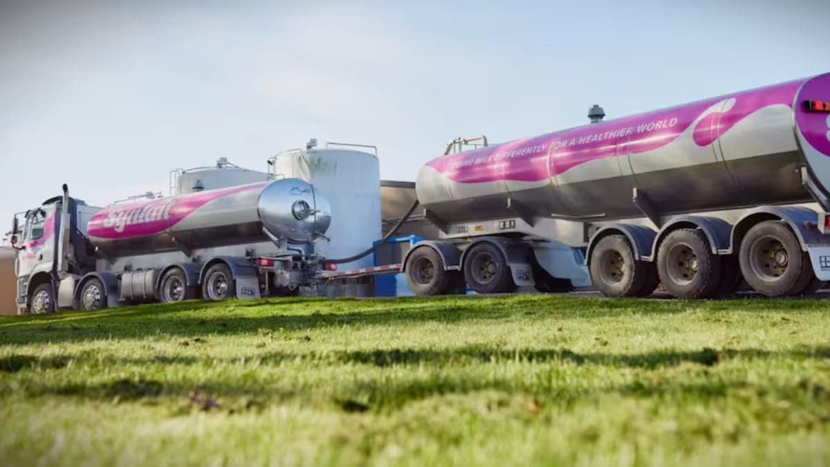 Thumbnail for UK regulator halts in-depth probe into infant-formula market despite price concerns