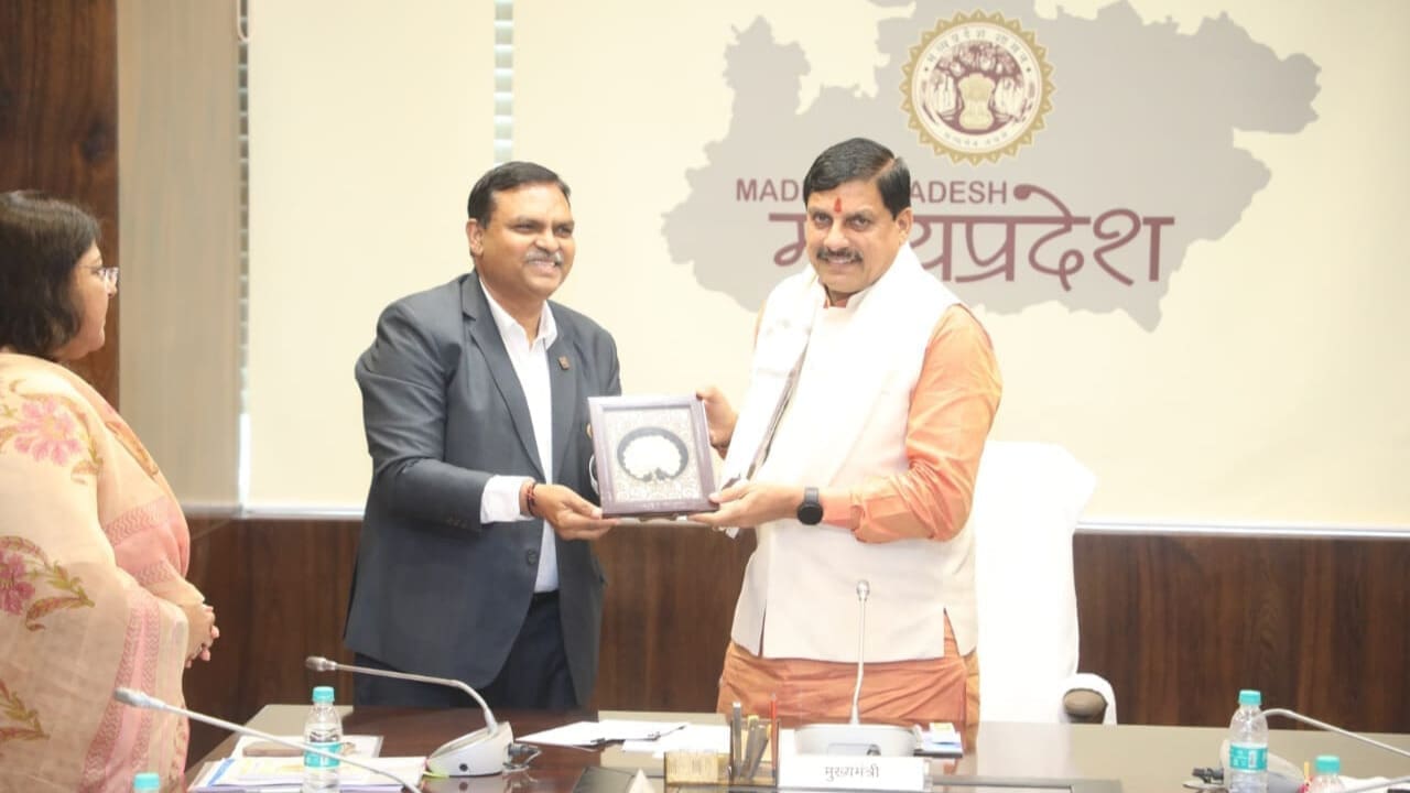 Thumbnail for Rising raw milk production, falling prices impact China’s dairy industry