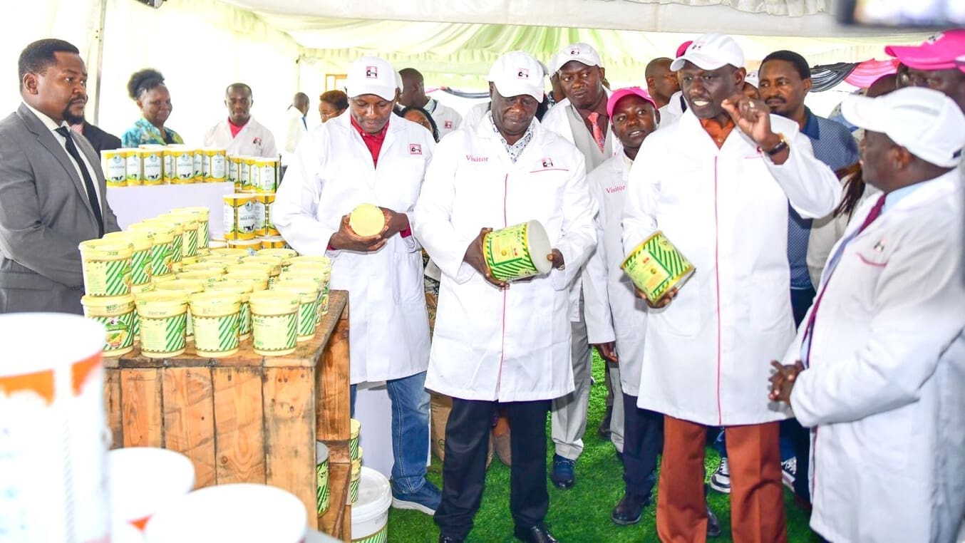 Thumbnail for Kenya targets increased value addition in dairy sector