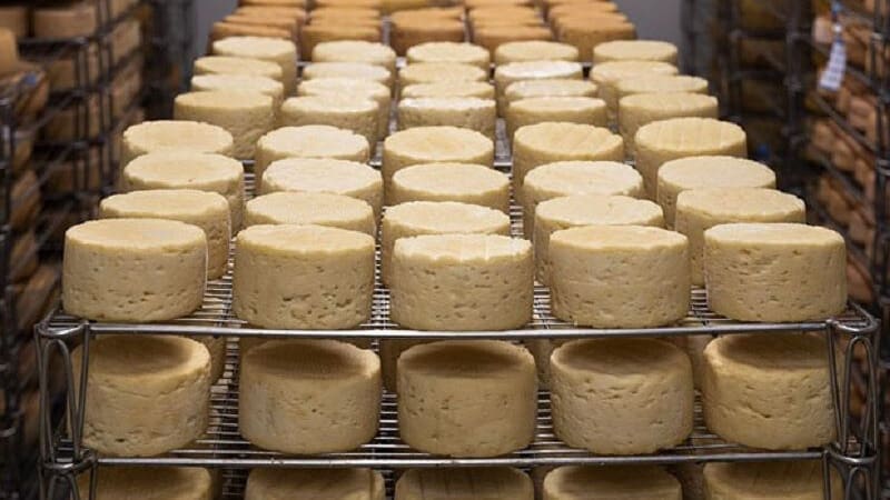 Thumbnail for Synlait Milk denies decision on asset sale to Open Country Dairy