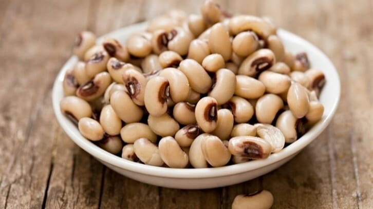 Thumbnail for Royal Association of British Dairy Farmers appoints Hayley Campbell-Gibbons as new CEO