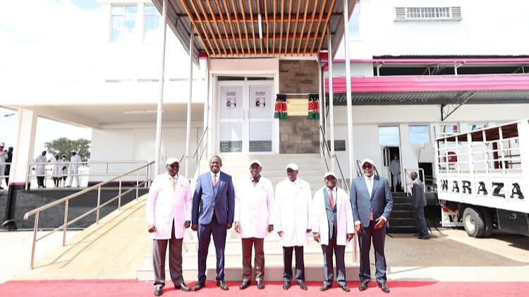 Thumbnail for Saputo announces key leadership changes