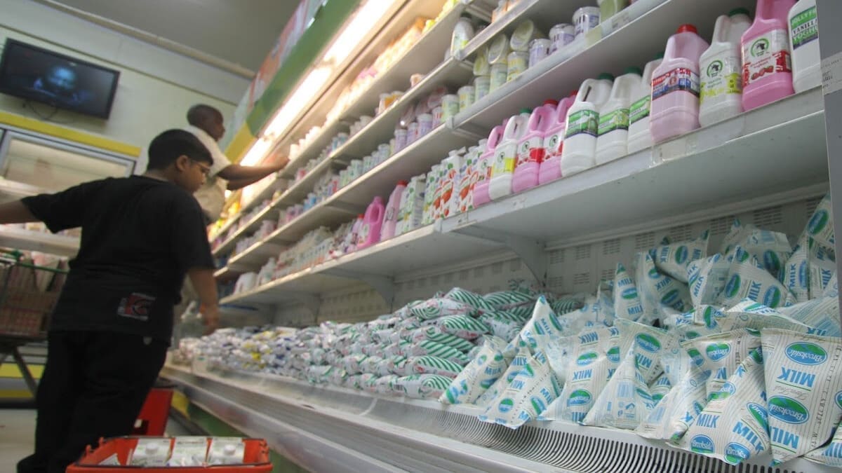 Thumbnail for Cameroon increases milk production by 2% but continues to face deficit