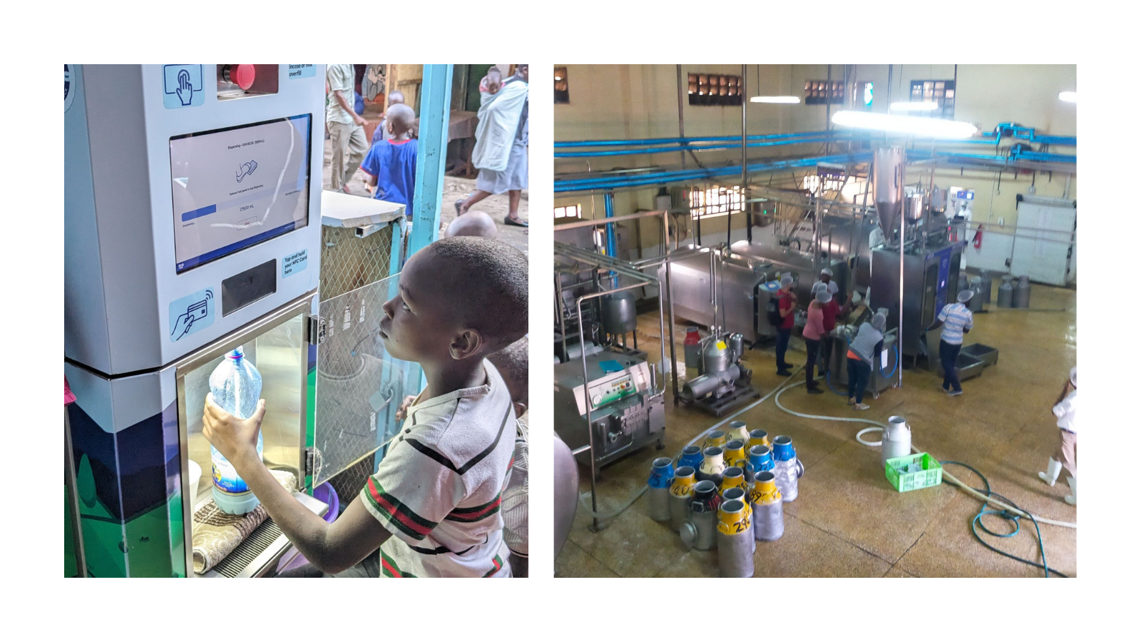 Thumbnail for Müller Yogurt & Desserts partners Myprotein to launch high-protein yogurts, desserts