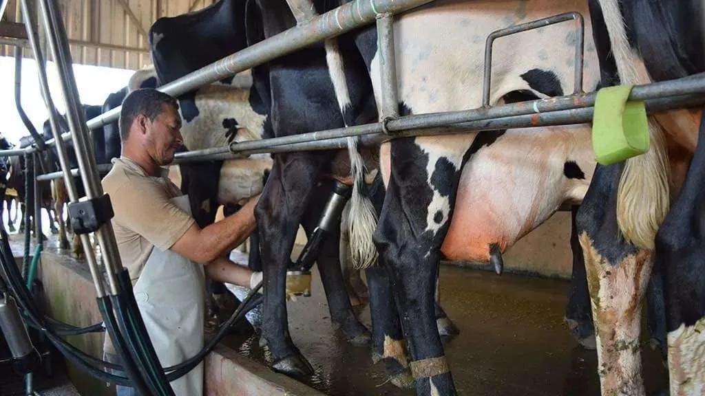 Thumbnail for Hiland Dairy to expand in Texas