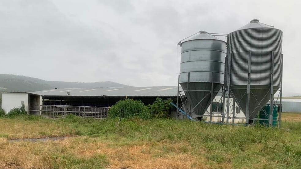 Thumbnail for Kenya’s dairy industry faces potential price hike as treasury proposes VAT changes on milk