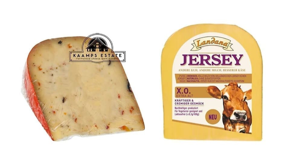 Thumbnail for IDF World Dairy Summit 2024 highlights innovation, sustainability in dairy industry