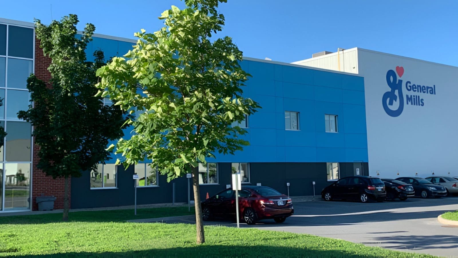 Thumbnail for ILO transforms camel milk value chain with Kasha Milk Collection Centre