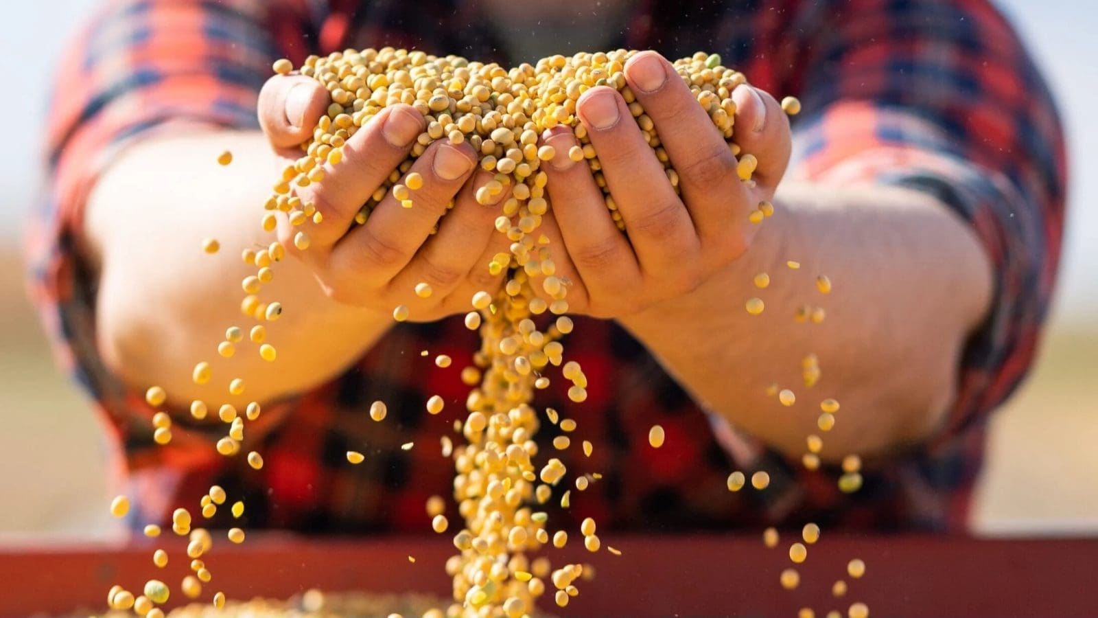 Thumbnail for Edlong acquires Brisan Group to enhance dairy flavor capabilities