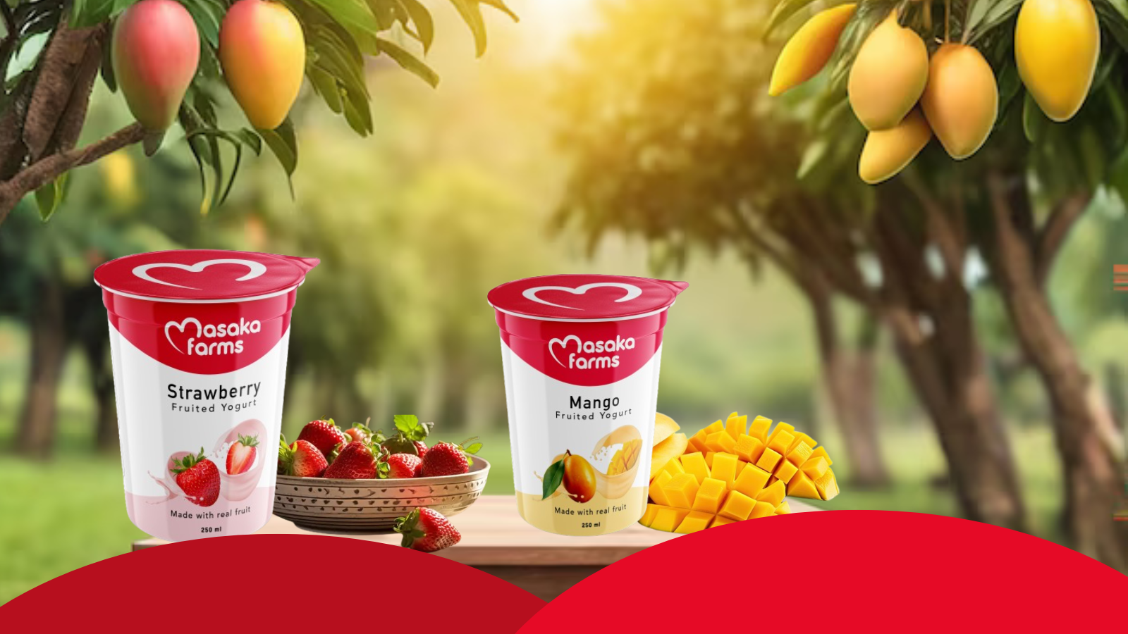 Thumbnail for Masaka Farms introduces new fruited yogurt range