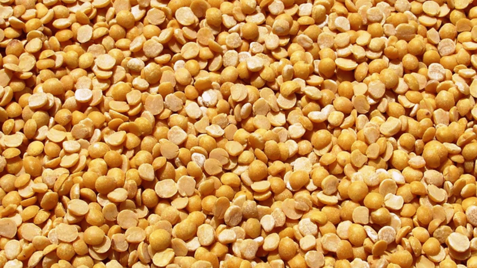 Thumbnail for Ingredion, Lantmännen announce collaboration to boost plant protein production