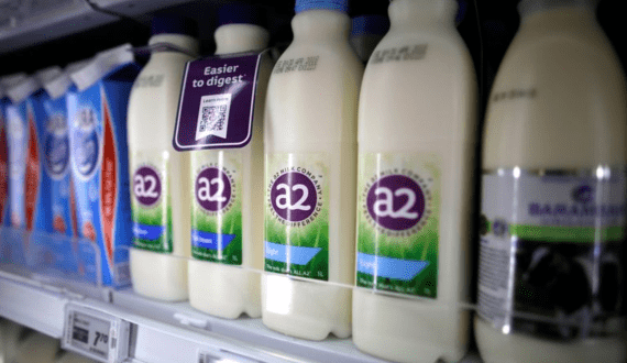 Thumbnail for Global milk protein market to hit US$8B by 2033 as demand for functional nutrition rise  