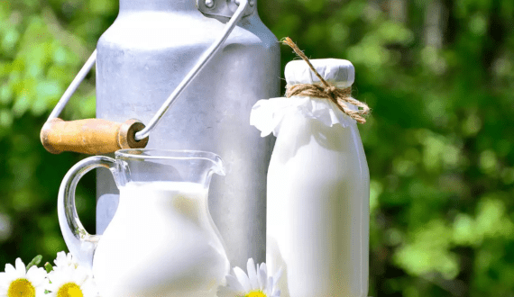 Thumbnail for Kano State boosts milk production, sales with new collection centres