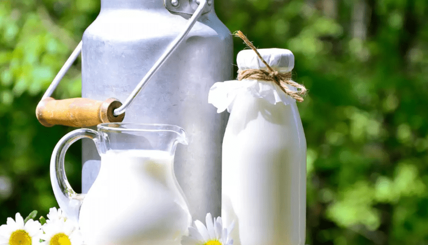 Thumbnail for Zimbabwe’s raw milk production hits 105M litres record