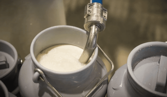 Thumbnail for Kano State boosts milk production, sales with new collection centres