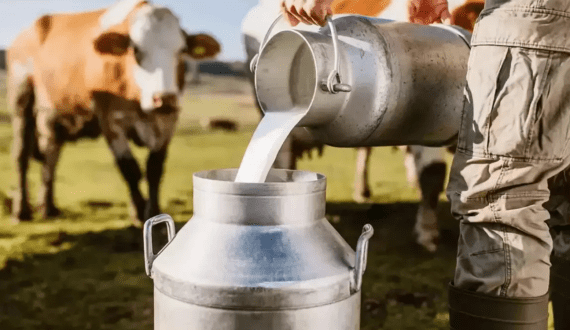 Thumbnail for Sindh mandates prescription for formula milk to promote breastfeeding practices