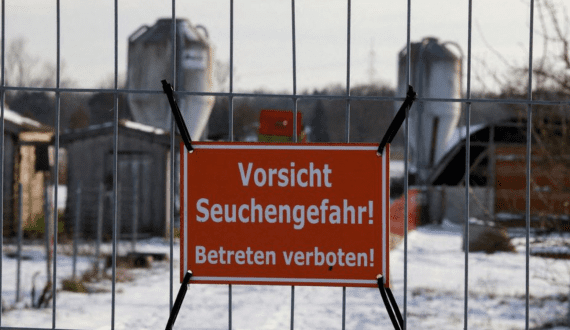 Thumbnail for Ajinomoto Foods partners Standing Ovation Scale Up animal-free milk proteins