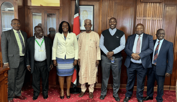 Thumbnail for Canadian researchers develop plant-based cheese alternative with improved texture, nutrition