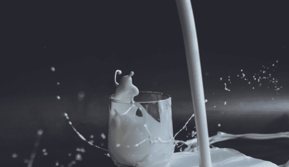 Thumbnail for Zimbabwe’s raw milk production surges to record high